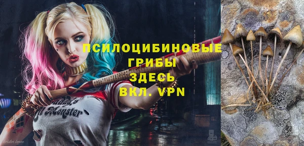 прущие крисы Бронницы