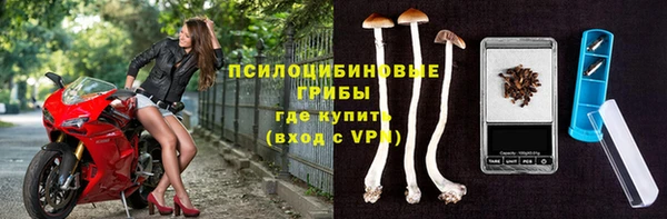 прущие крисы Бронницы