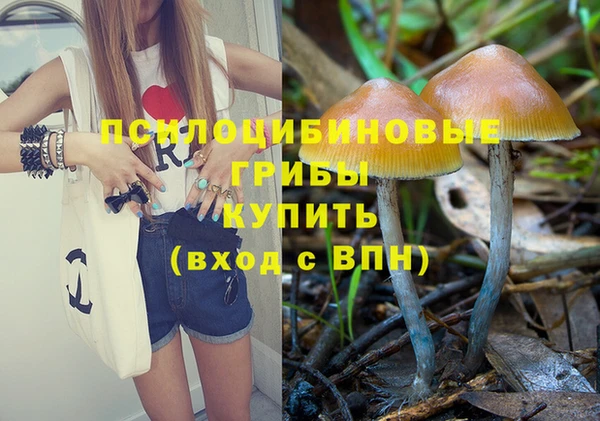 мескалин Бородино